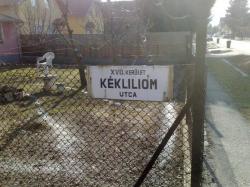 201003171112.jpg