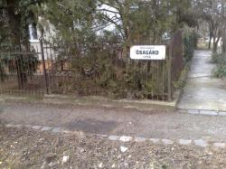 201003171088.jpg