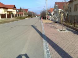 201003171106.jpg