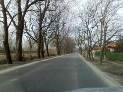 201003171079.jpg