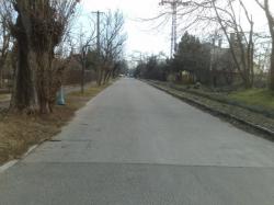 201003171081.jpg