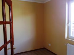 20080216617.jpg